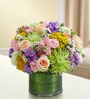 Cherished Memories<br>Multicolor Pastel Davis Floral Clayton Indiana from Davis Floral